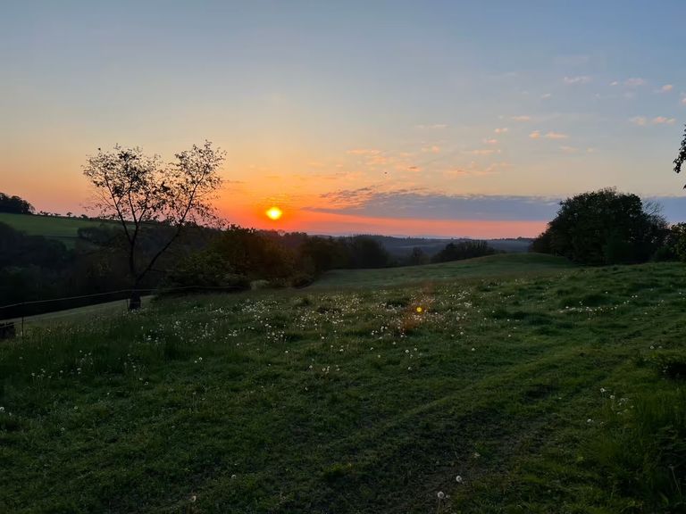 Schöner Blick über die Pferdekoppel in der Nähe von Dresden. 