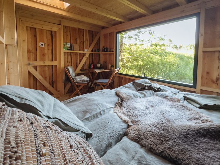 Inneneinrichtung mit Bett und Stühlen in einer kleinen Holzhütte im Wald, die bei hinterland.camp buchbar ist.