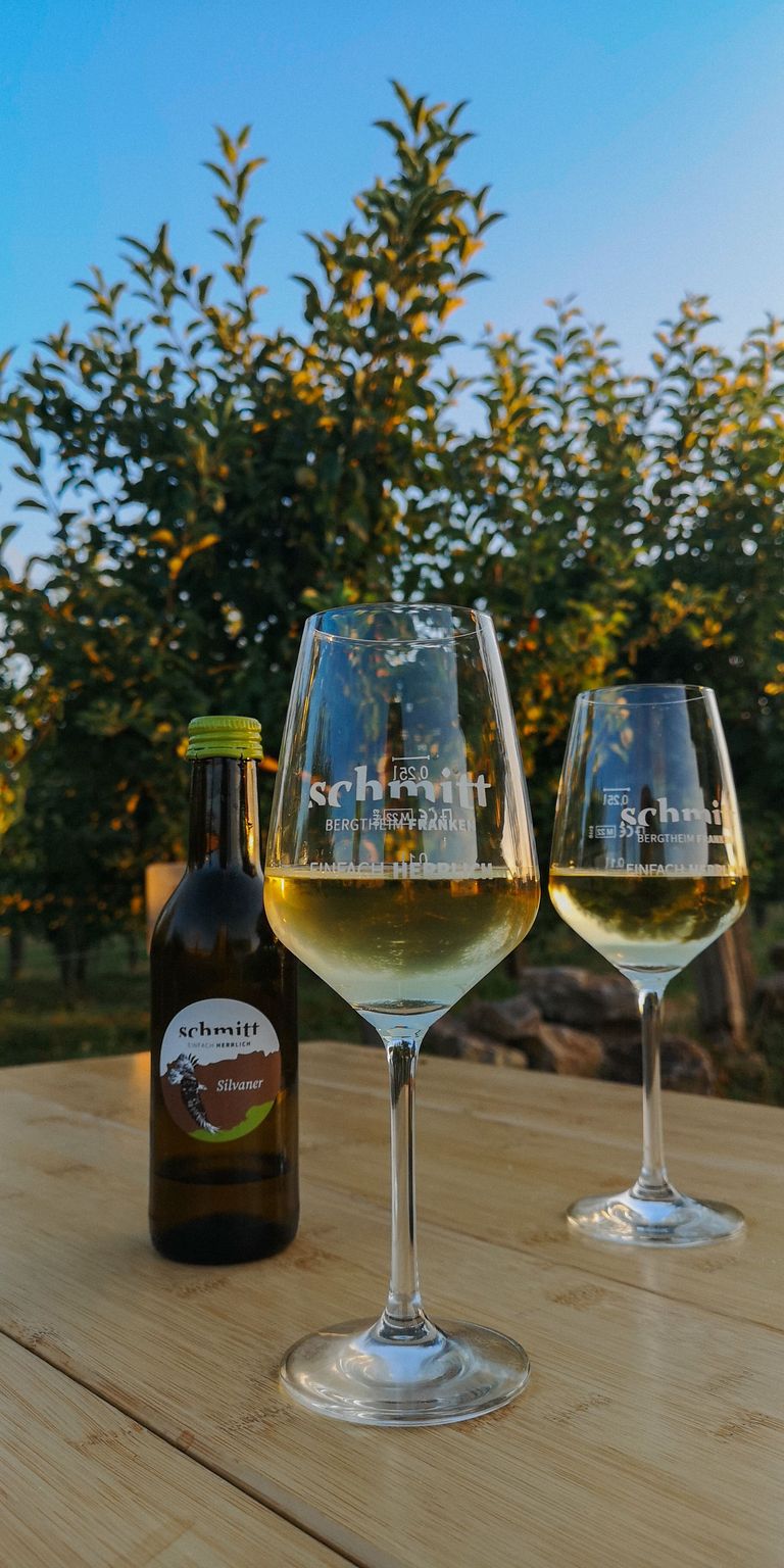 Weingläser auf einem Campng-Tisch mit Weinreben im Hintergrund