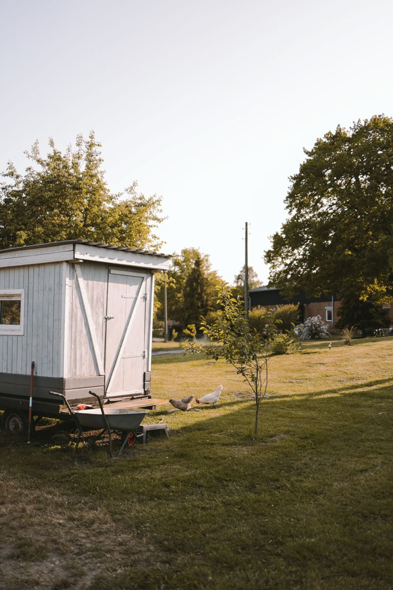 Ein kleiner Bauwagen, der als Toilettenhäuschen für den Campingstellplatz bei den Barther-Bodden genutzt wird.