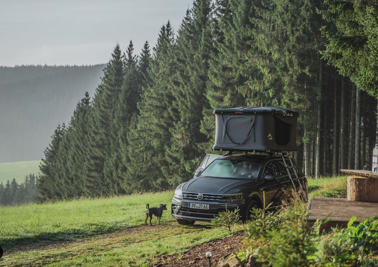 PKW mit Dachzelt vor einem Wald, Hund neben dem Auto