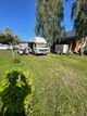 Tom