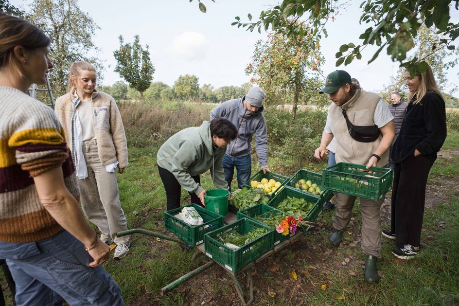Fahrbarer Hofladen: aus einer Schublade heraus wird regionales Gemüse verkauft