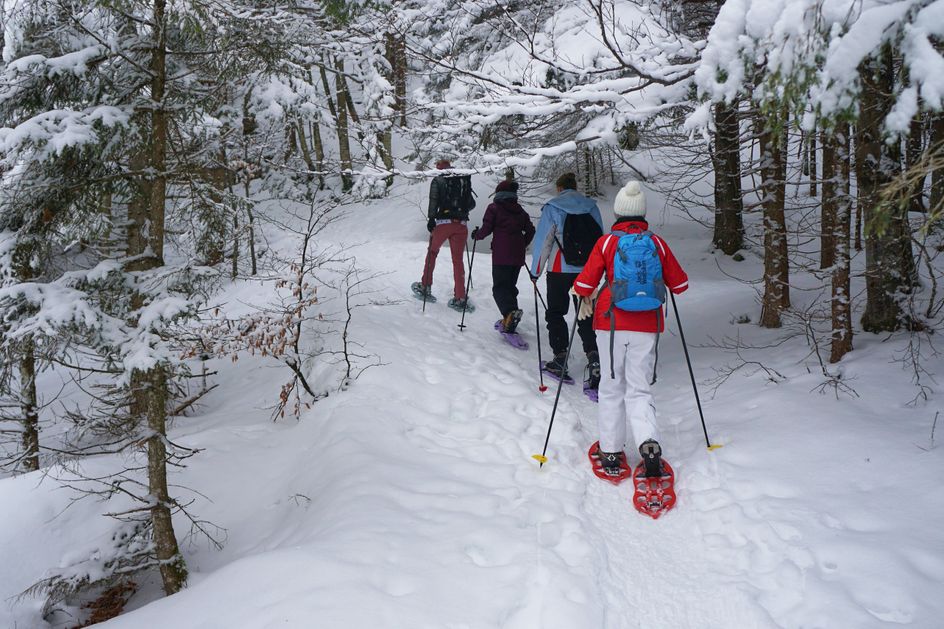 Schneeschuhwandern für Dummies