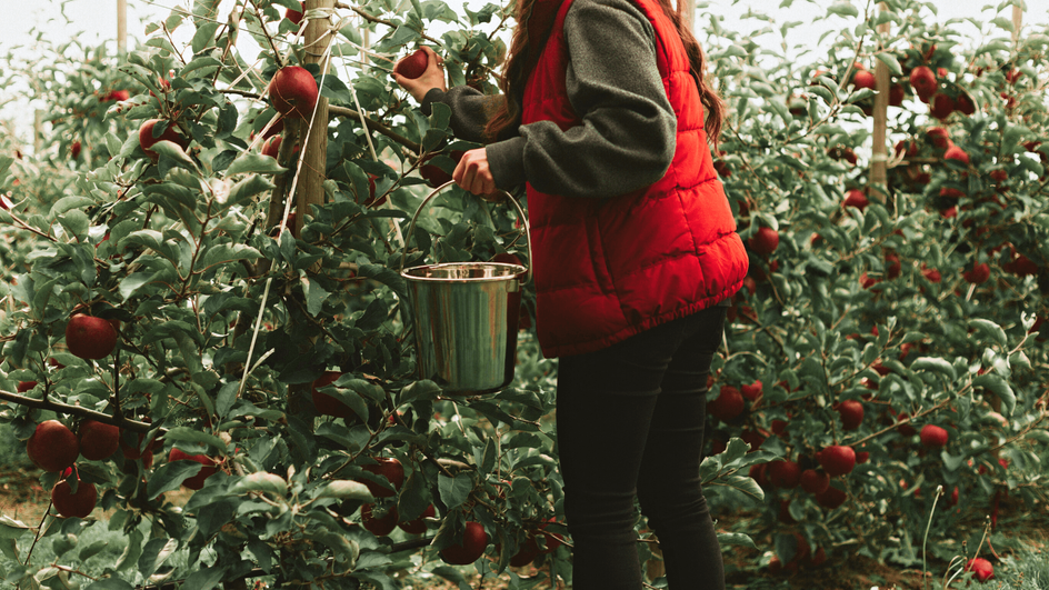 Surfen, SUP, Kanu.png