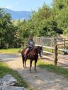 Sonja