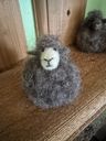 Eva