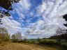Ralf