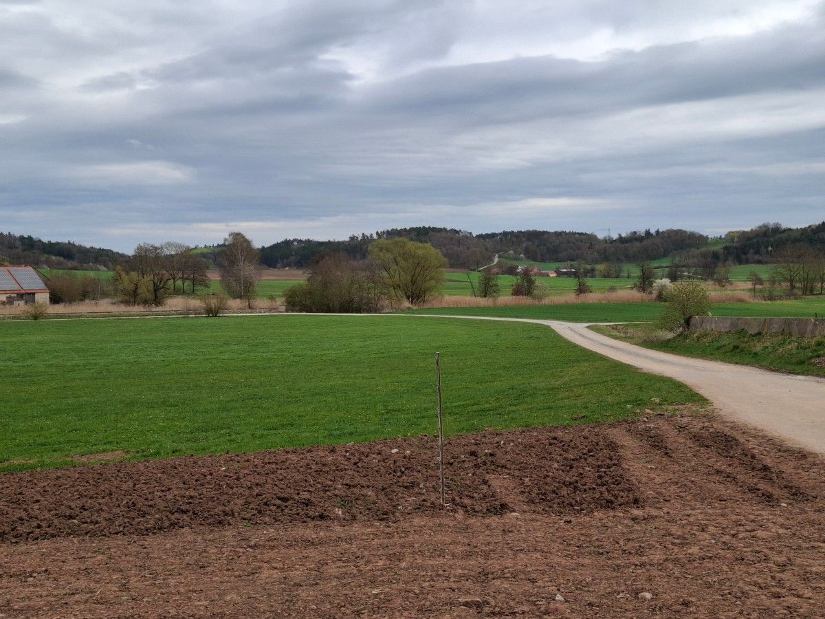 campingstuhl grn Campingstuhl 2er Set