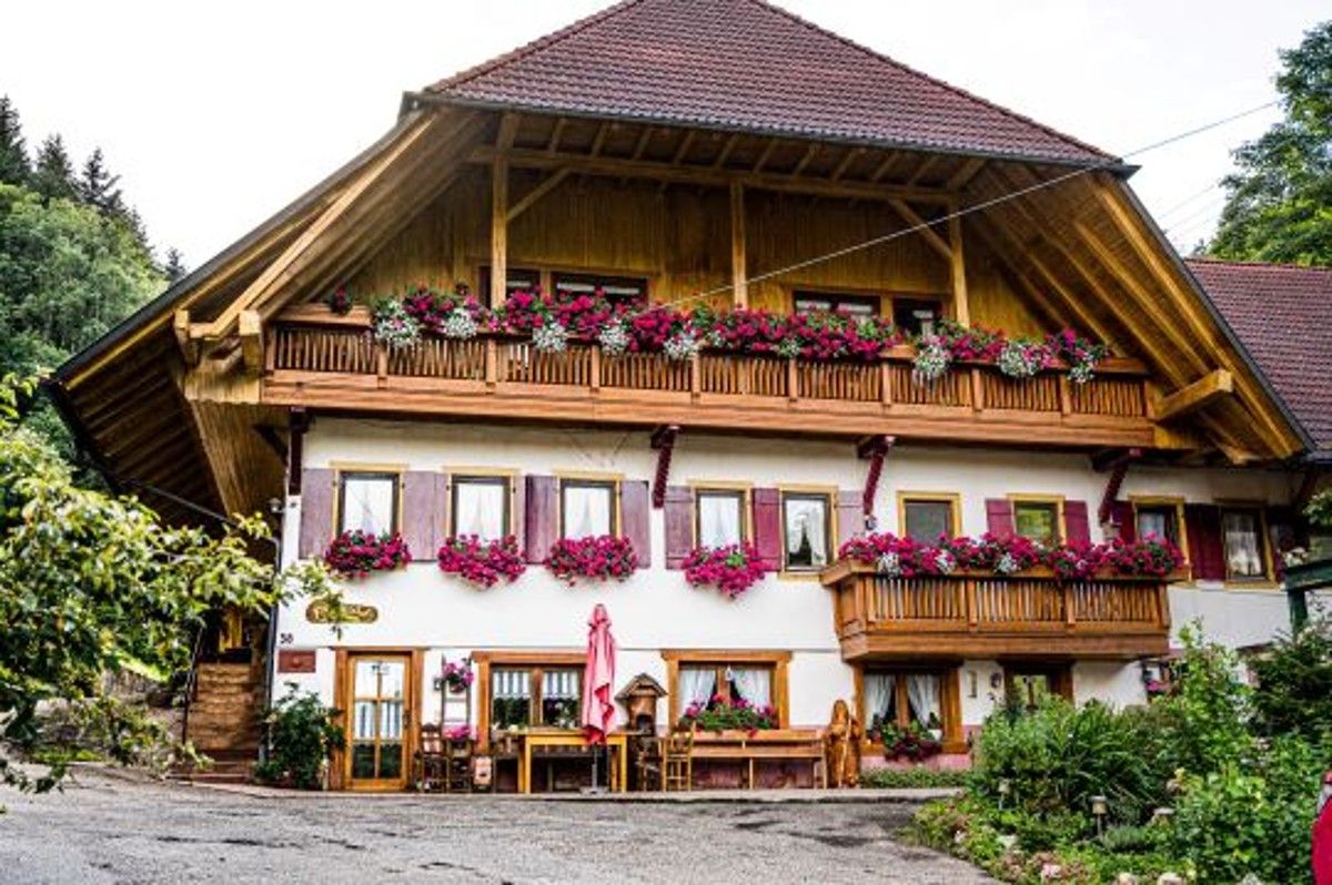 Campen im Schwarzwald auf dem Reiterhof mit Sauna