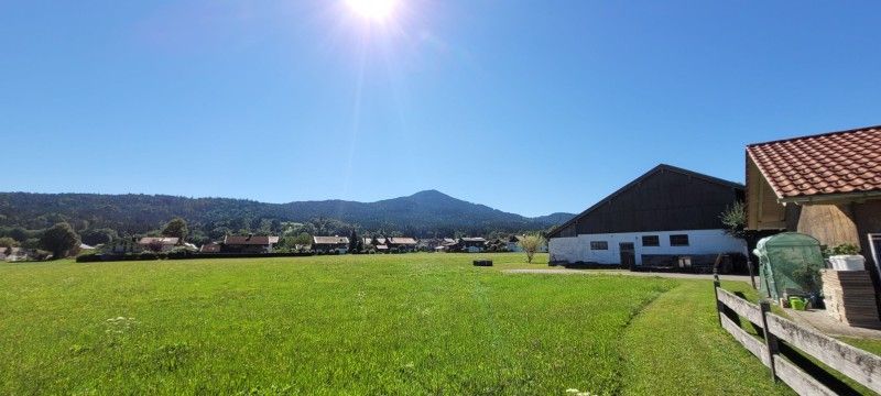 hngematte heizung fr katzen PIUPET Katzen-Heizungsliege | Warmer Platz fr deine Katze
